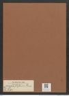 Synedra filiformis Grun. (de-Toni-Nr.: Genus 66, Species 2594) Zeichnungen Sammlung Grunow Mappe 02812 (Herbarium_W_Grunow_drawings_Folder_02812)